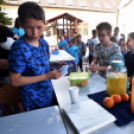 Zenei fesztivál a Táncsicsban