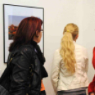 Dánia magyar szemmel