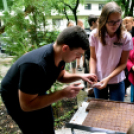 Augusztus 20 Cegléden 