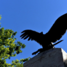 A hősökre emlékeztek