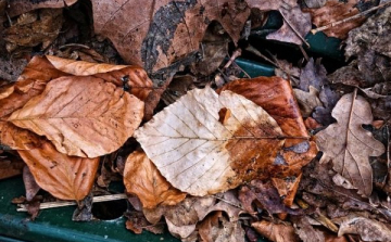 Még a szikkasztás ideje van - ne égessük!