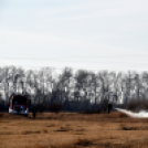 Száraz növényzet égett