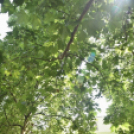 Díjak, előléptetések a Semmelweis napon