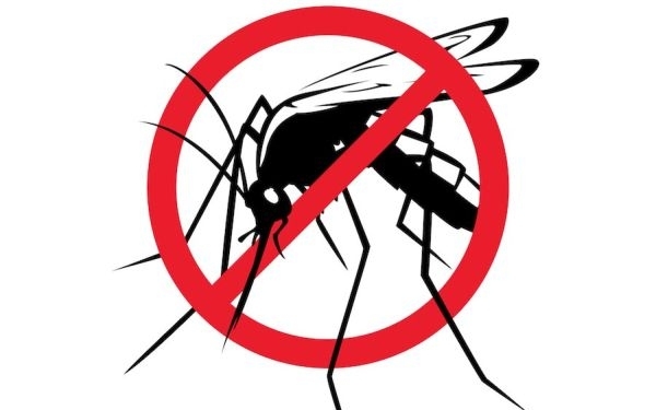 Tájékoztatás szúnyoggyérítésről
