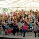 Hétközepi majális