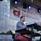 III. Ceglédi Vágta