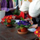 Arany Oroszlán Sport- és Egészségnap Cegléden