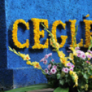 XIX. Kossuth Toborzó - péntek