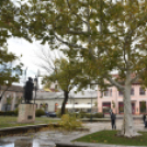 Októberi orkán Cegléden