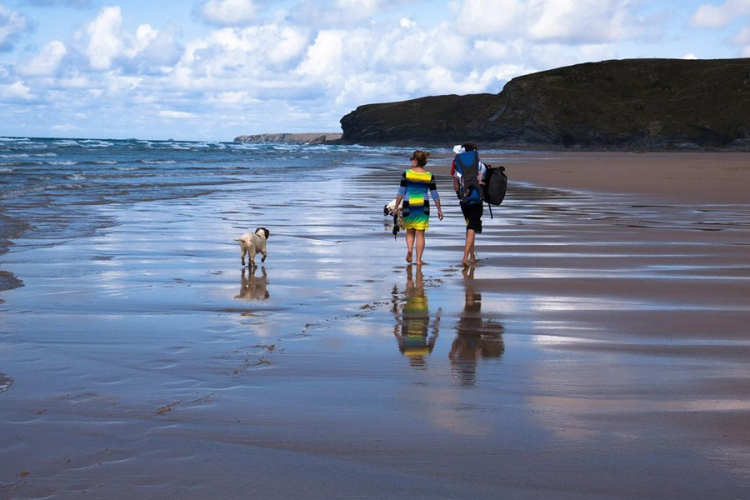 Nyári kutyabajok ellen