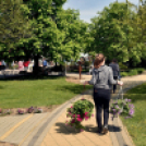 Virágvásár és főzőverseny Csemőben