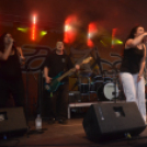 Bor és laskafesztivál - II