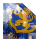 Ez történt Cegléden 2014-ben