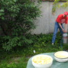 A ,,Törődés napja’’