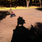 Halló Cegléd! - telefonfotók