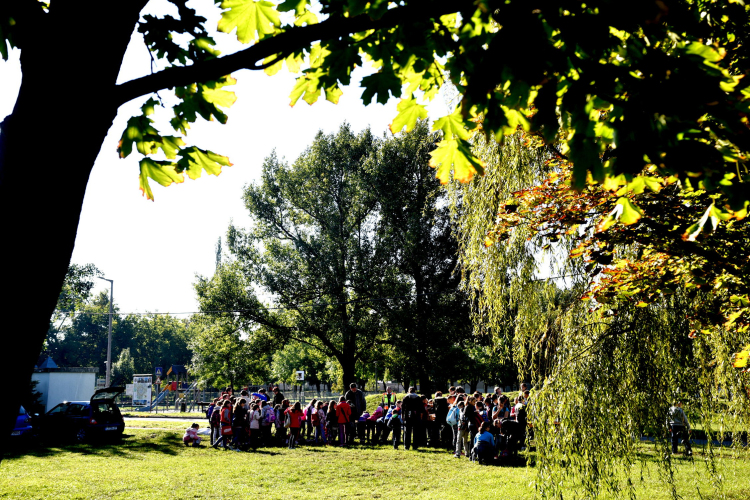 Állatok világnapja a Vörösmarty téren