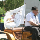 IX. Bor és Laskafesztivál - IV. Ceglédi Vágta