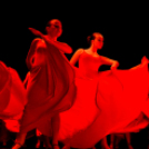 Tánc világnapja Cegléden