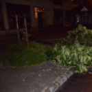 Viharkárok a Ceglédi térségben 