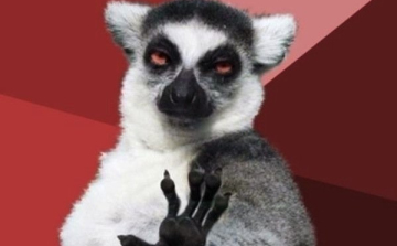 Mindenki nyugodjon le...!