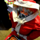 Ceglédi Advent III. hétvége