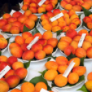 Kajszibarack tanácskozás a Gyümölcskutatóban