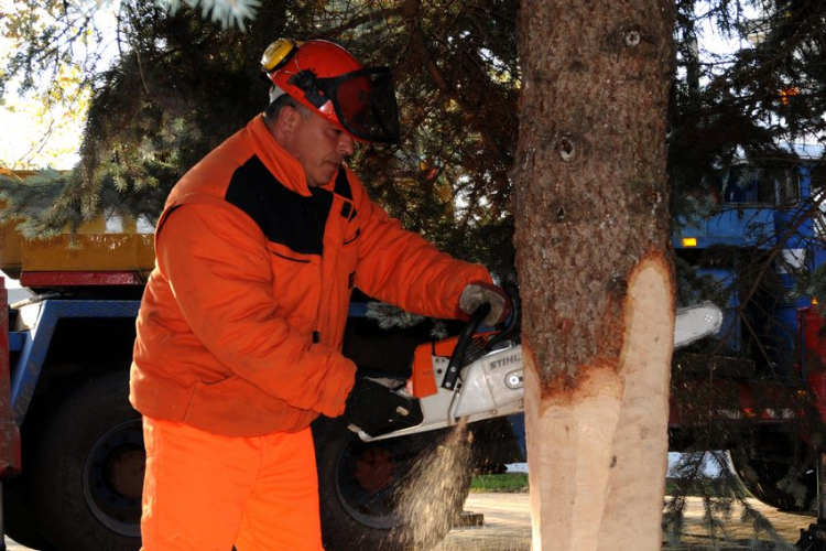 A város karácsonyfája