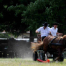 Laska fesztivál - szombat délelőtt