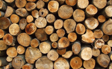 A csaló faárusok idén sem kerülik el Ceglédet