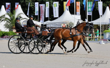 Magyar sikerek a Kettesfogathajtó Világbajnokságon