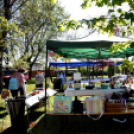 Virágvásár és főzőfesztivál Csemőben