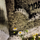 ,,Tudom e mérni a mérhetetlent’’