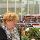 Rózsák Hétvégéje - Oázis Kertészeti Áruház