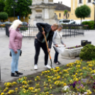 Ments meg egy árvácskát!