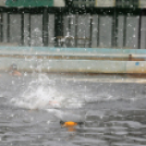 CVSE- Bánki Vízisport Egyesület 13-9