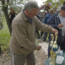 Éhmann Ferenc Emlék Kupa