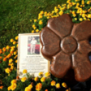 A növénynemesítő nyomában