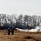 Száraz növényzet égett