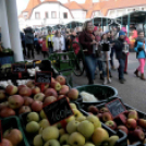 Márton napi felvonulás a Táncsicsban