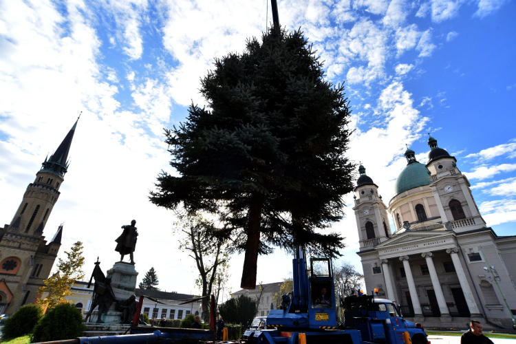 Karácsonyi készülődés a Szabadság téren