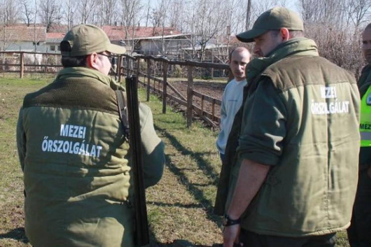 Tolvajokat fogtak a ceglédi mezőőrök