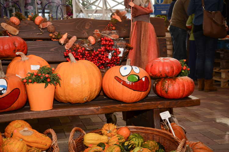 Családi tökfaragás - Oázis Kertészeti Áruház