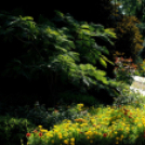 Színpompás bemutató