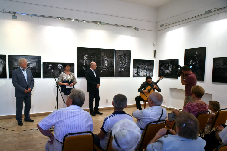 Papp Elek kiállítás a Ceglédi Galériában