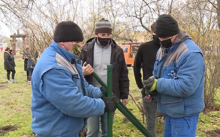 Épül a kutyafuttató