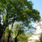 650 perc sport - biciklis felvonulás