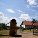 XIII. Nyitott Pince Nap