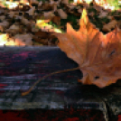 Halló Cegléd! - őszi látképek