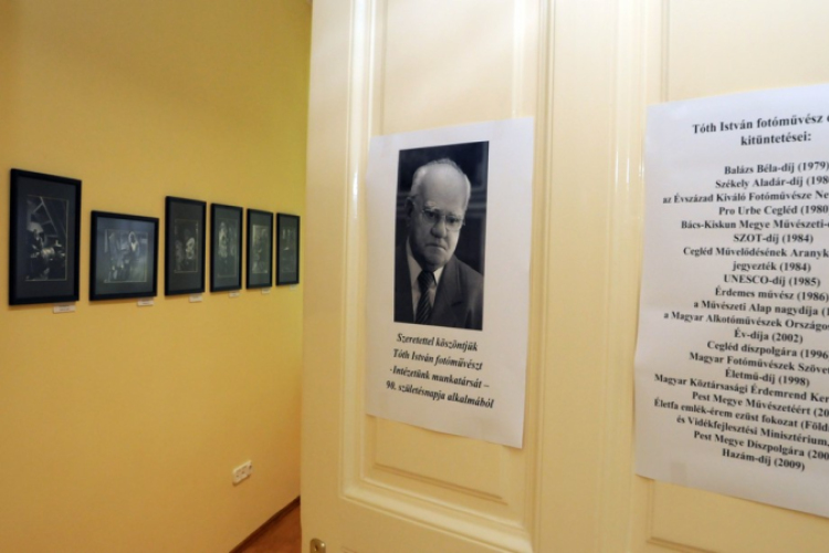 Művész portrék a gyümölcskutatóban