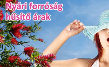 Nyári forróság AKCIÓ